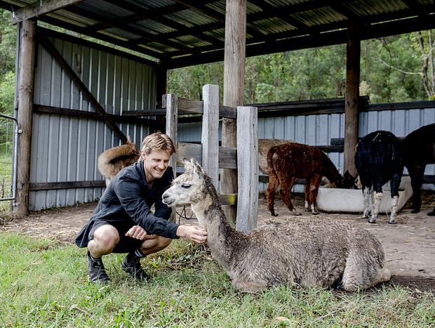 Photo 17 for The Alpaca Farm