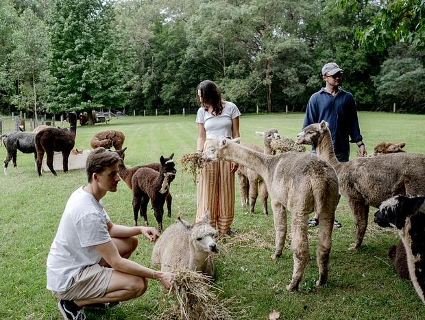 Photo 18 for The Alpaca Farm