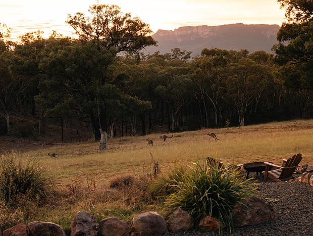Photo 19 for Golden Glamping - Wildnest Farmstay – Kookaburra