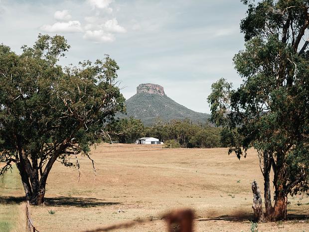 Photo 5 for Golden Glamping - Wildnest Farmstay – Kookaburra