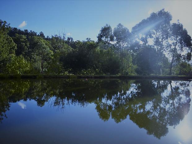 Photo 13 for Bower Bird Cottage - Farewell Summer, hello Autumn!