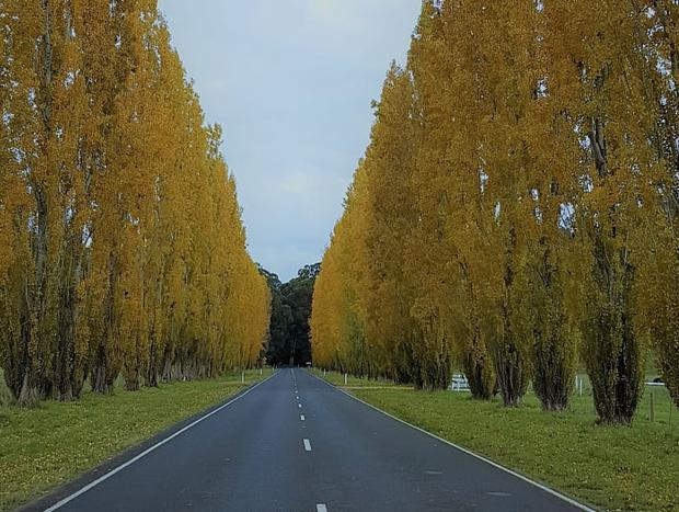 Photo 16 for Bower Bird Cottage - Farewell Summer, hello Autumn!