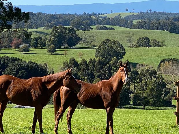Photo 16 for Luxury Truffle Farm Stay | Winter Escape Near Melbourne