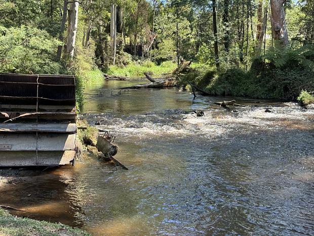 Photo 23 for Luxury Truffle Farm Stay | Winter Escape Near Melbourne