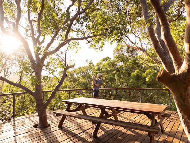 Photo 6 for Treetop Beach House