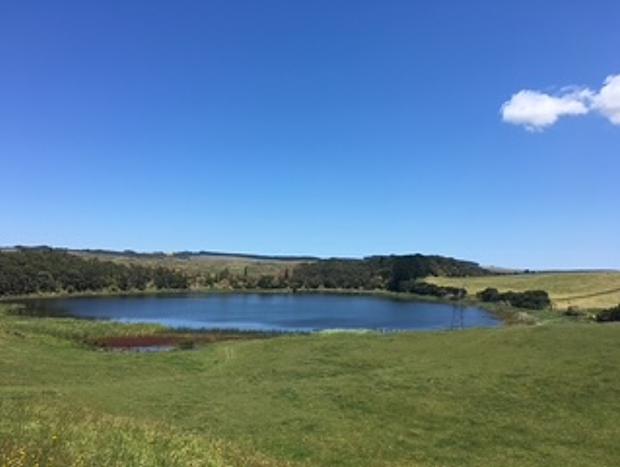 Photo 9 for Lake Kahuparere