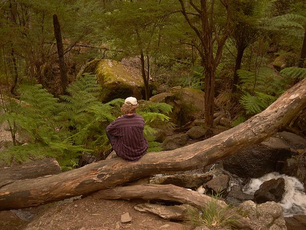 Photo 27 for Horsing around in Gembrook