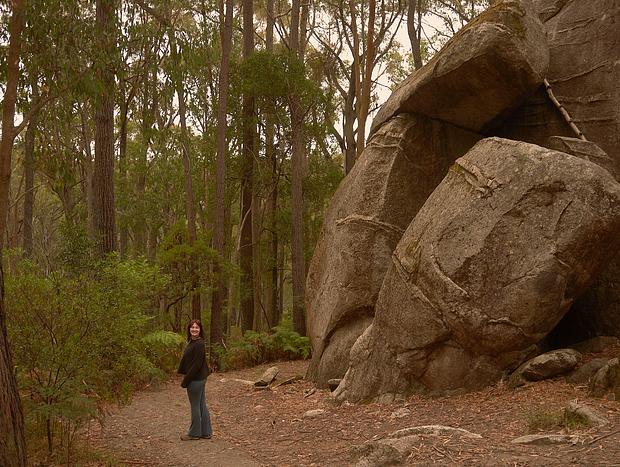 Photo 31 for Horsing around in Gembrook