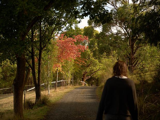 Photo 30 for Horsing around in Gembrook