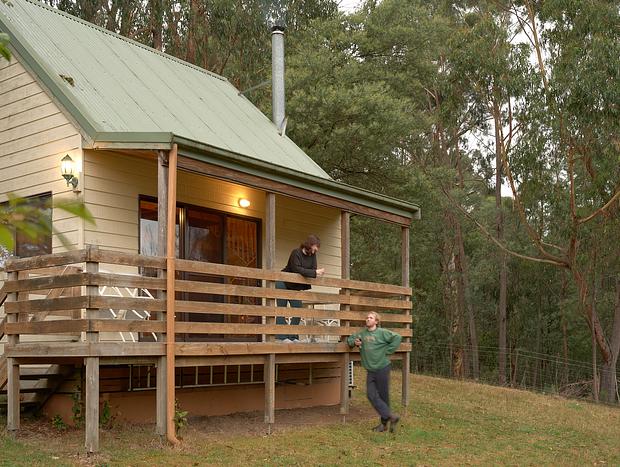 Photo 22 for Horsing around in Gembrook