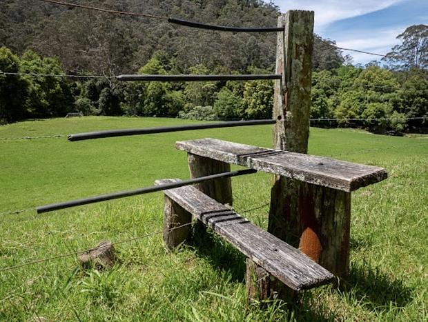 Photo 8 for Pet Friendly Luxury! at Cedar Tree Farm