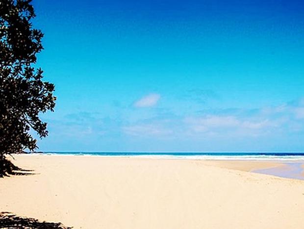 Photo 40 for Secluded Beachfront Haven with Wildlife & Sunsets Tranquilo Beach House