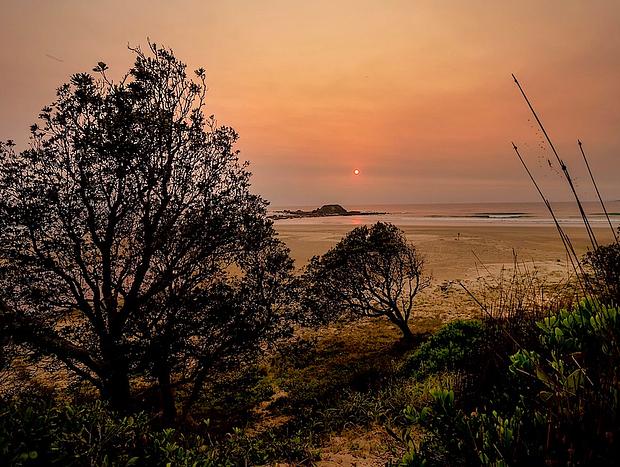 Photo 47 for Secluded Beachfront Haven with Wildlife & Sunsets Tranquilo Beach House