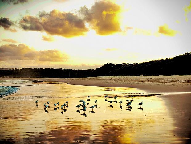 Photo 48 for Secluded Beachfront Haven with Wildlife & Sunsets Tranquilo Beach House