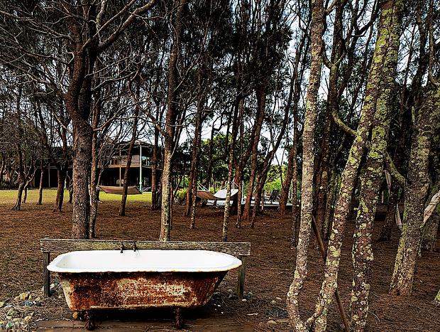 Photo 55 for Secluded Beachfront Haven with Wildlife & Sunsets Tranquilo Beach House