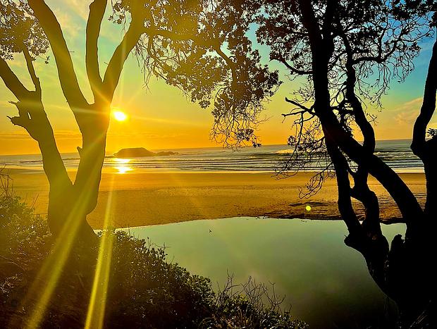 Photo 38 for Secluded Beachfront Haven with Wildlife & Sunsets Tranquilo Beach House