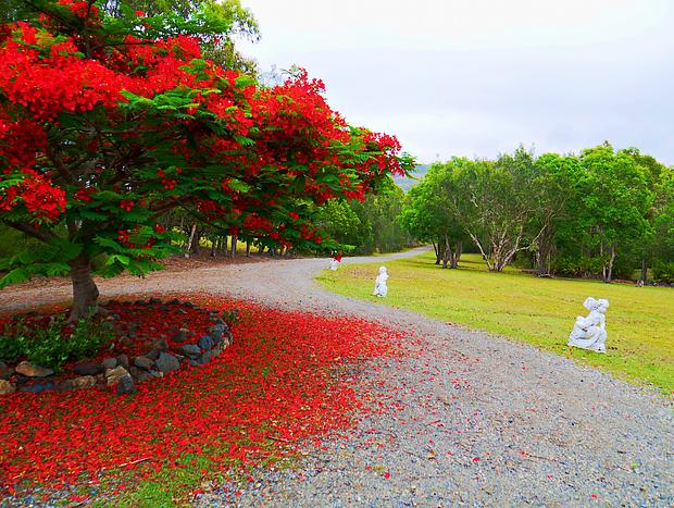 Photo 53 for Secluded Beachfront Haven with Wildlife & Sunsets Tranquilo Beach House