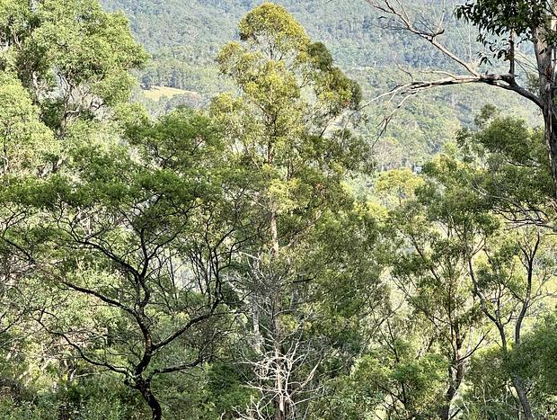 Photo 15 for The Nest - Secluded Off Grid Cabin in the Far South