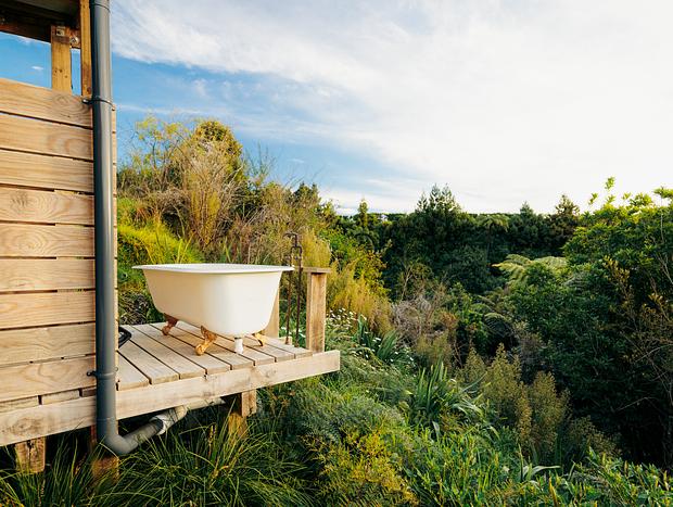 Photo 2 for Epic Nature Retreat Amongst The Ferns