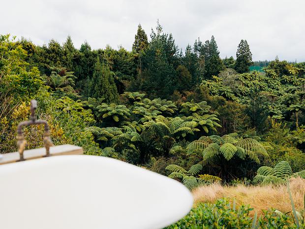 Photo 14 for Epic Nature Retreat Amongst The Ferns