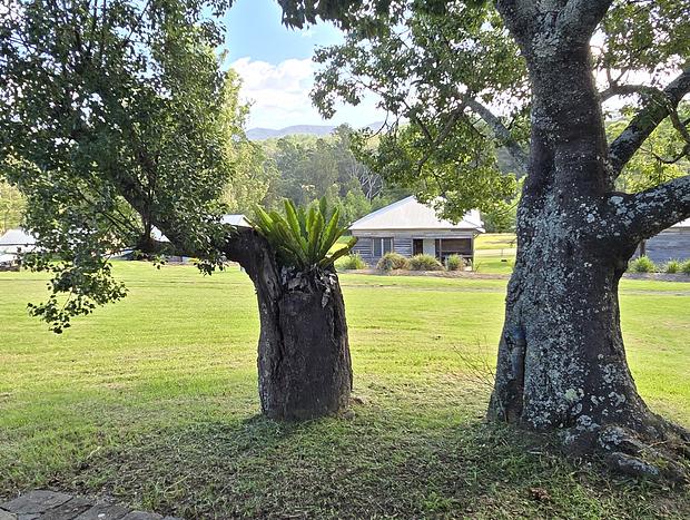 Photo 43 for Kurrajong House
