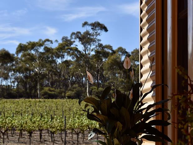 Photo 6 for Boutique Vineyard Cottage - Lina