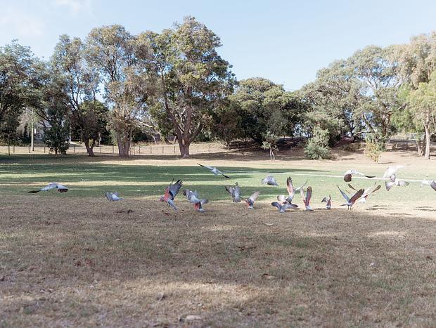 Photo 40 for Banksia House