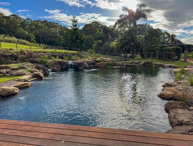 Photo 1 for Private rockpool