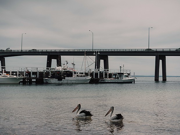 Photo 3 for Pelican Wharf
