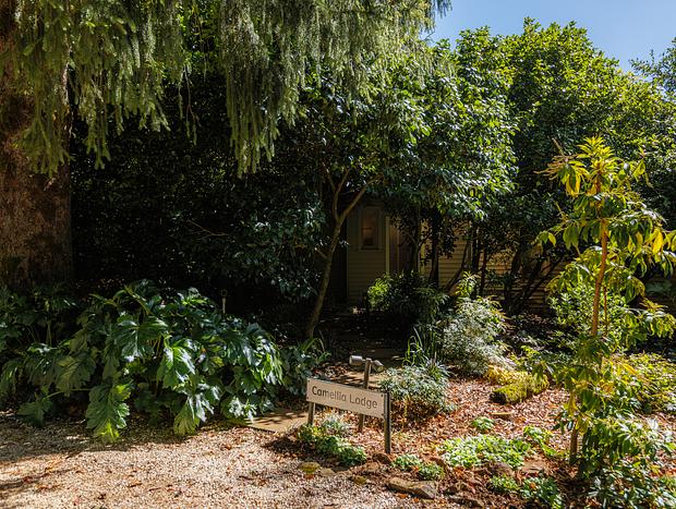 Photo 21 for Dennarque Estate - Camellia Lodge, Mount Wilson