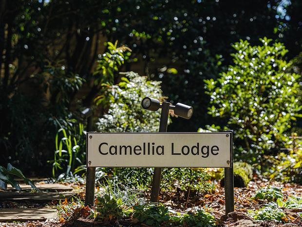 Photo 22 for Dennarque Estate - Camellia Lodge, Mount Wilson
