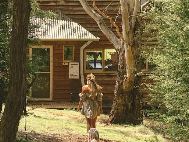 Photo 13 for Little Olive Cabin