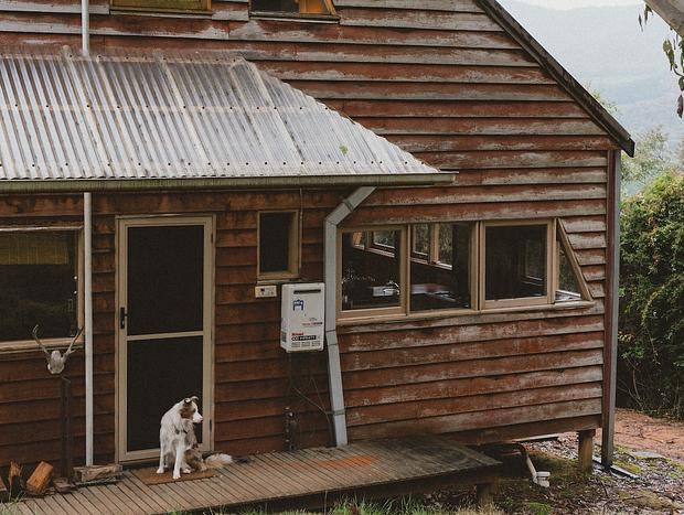 Photo 4 for Little Olive Cabin