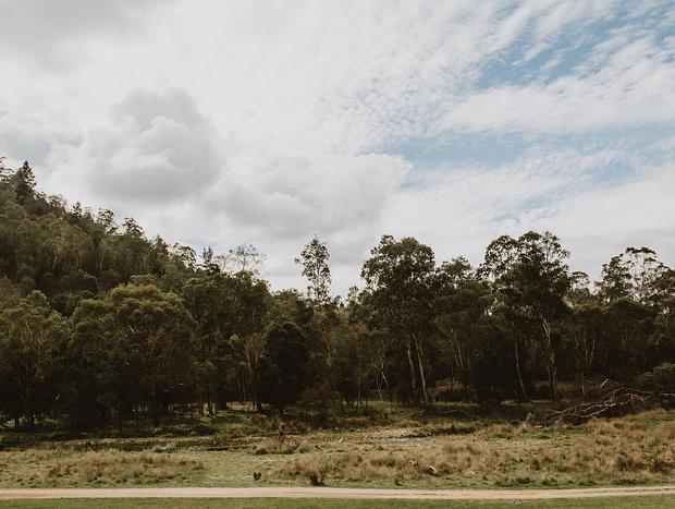 Photo 10 for Little Livingstone - Tiny House escape in Omeo