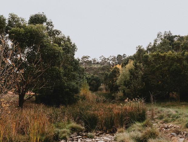 Photo 34 for The Notebook Haus on Livingstone Park - Omeo