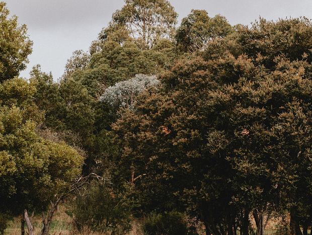 Photo 33 for The Notebook Haus on Livingstone Park - Omeo