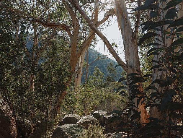 Photo 11 for Brown's High Country Off-Grid Cabin