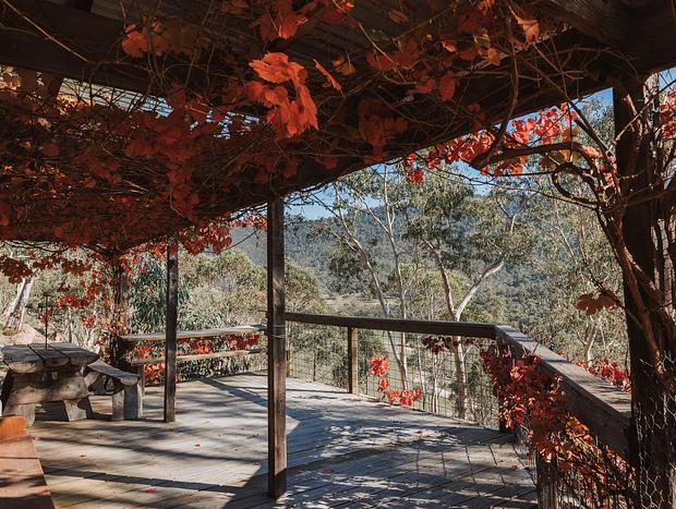 Photo 9 for Brown's High Country Off-Grid Cabin