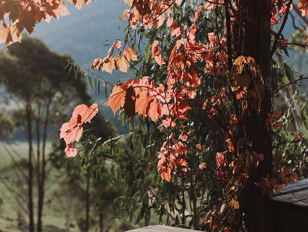Photo 10 for Brown's High Country Off-Grid Cabin