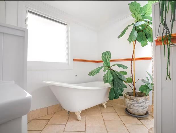 Photo 14 for The Pines - Charming Bellingen 1930s Beach House