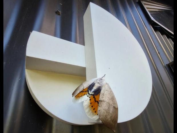 Photo 24 for Banksia Mount Macedon