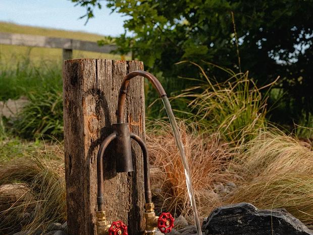 Photo 9 for Kawakawa Hut