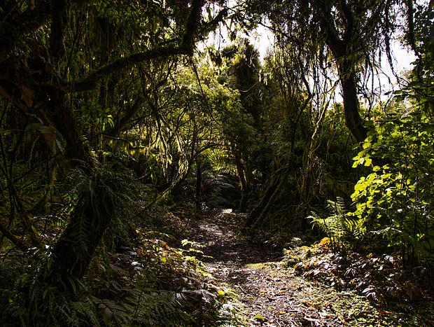 Photo 2 for The Beautiful Waitanguru Falls
