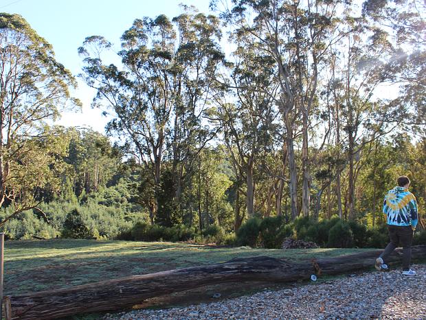Photo 1 for Peaceful Walks on the Property