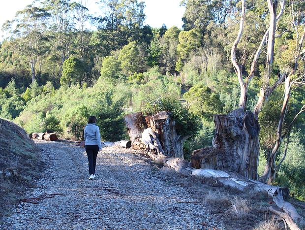 Photo 2 for Peaceful Walks on the Property