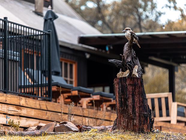 Photo 41 for Warmth and Wilderness in Healesville