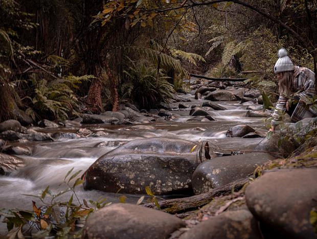 Photo 46 for Warmth and Wilderness in Healesville