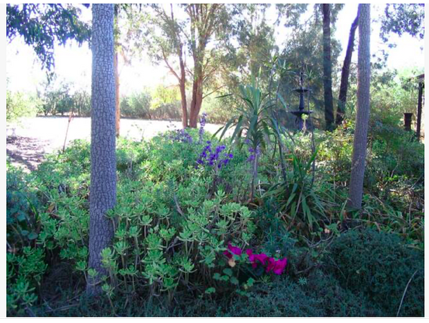 Photo 29 for Stargazer's Hideaway