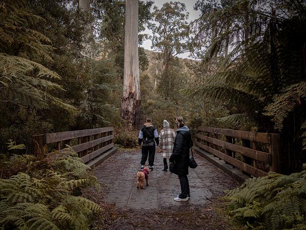 Photo 45 for Warmth and Wilderness in Healesville