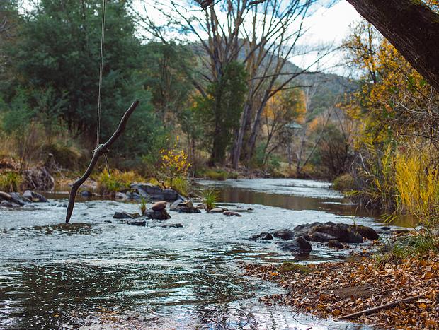 Photo 34 for Tiny Treasure with River Frontage